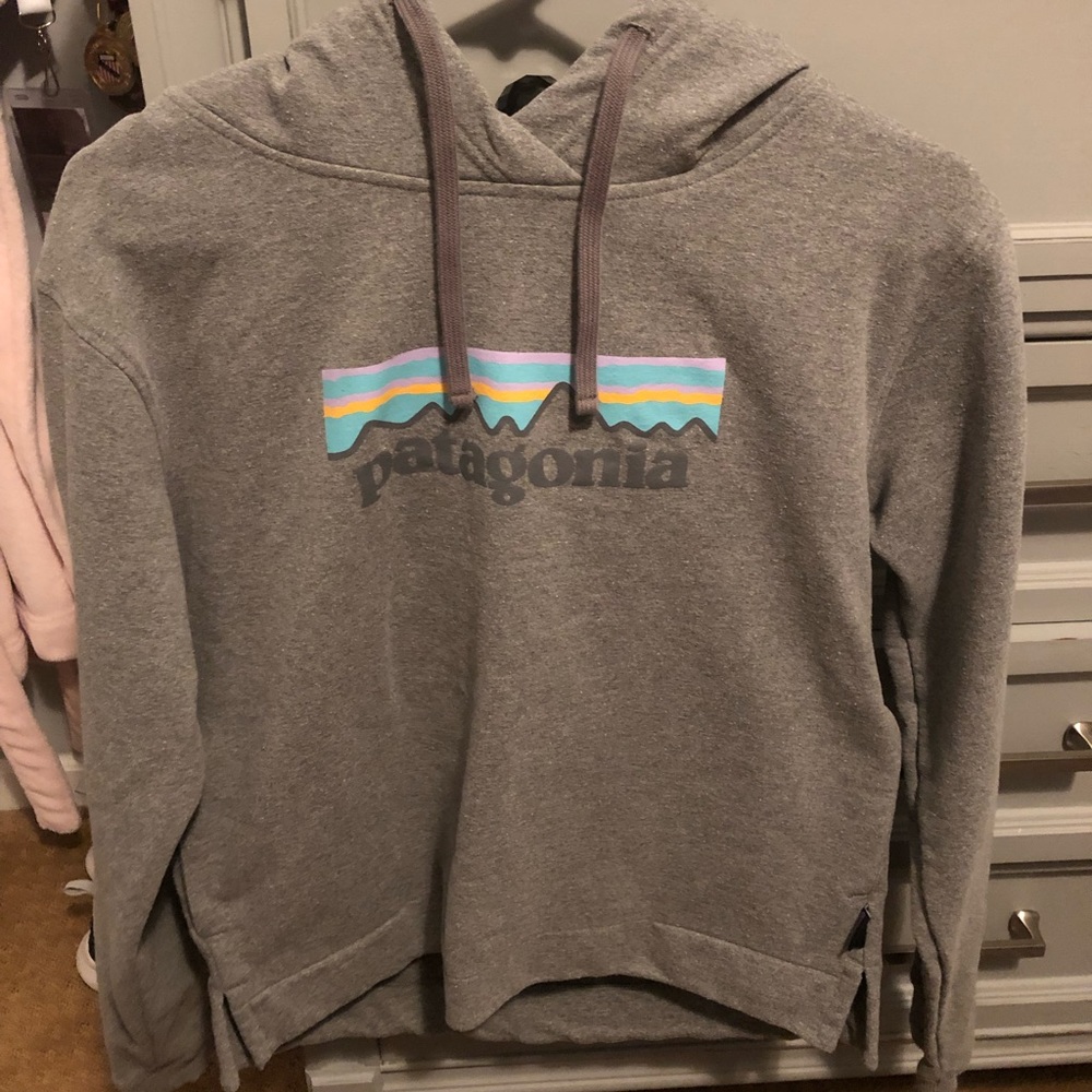 patagonia women’s hoodie